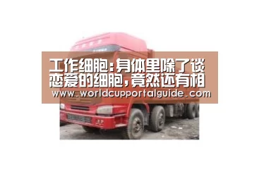 工作细胞:身体里除了谈恋爱的细胞,竟然还有相爱相杀的兄弟-世