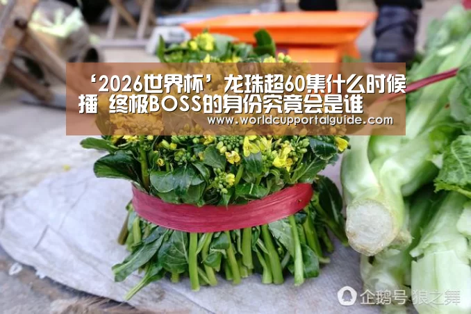 ‘2026世界杯’龙珠超60集什么时候播 终极BOSS的身份